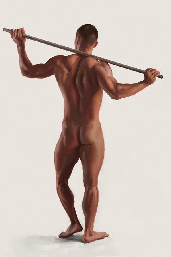 Human Anatomy