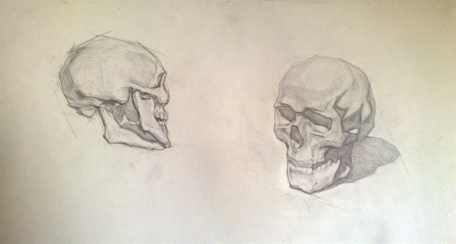 Sculls